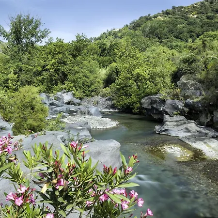 Idyllica *