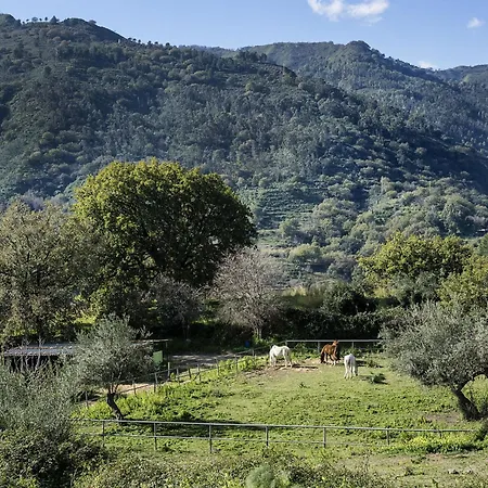 Idyllica Вилла *